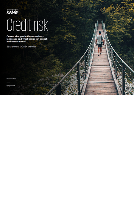 credit-risk-hubspot-cover-450x660