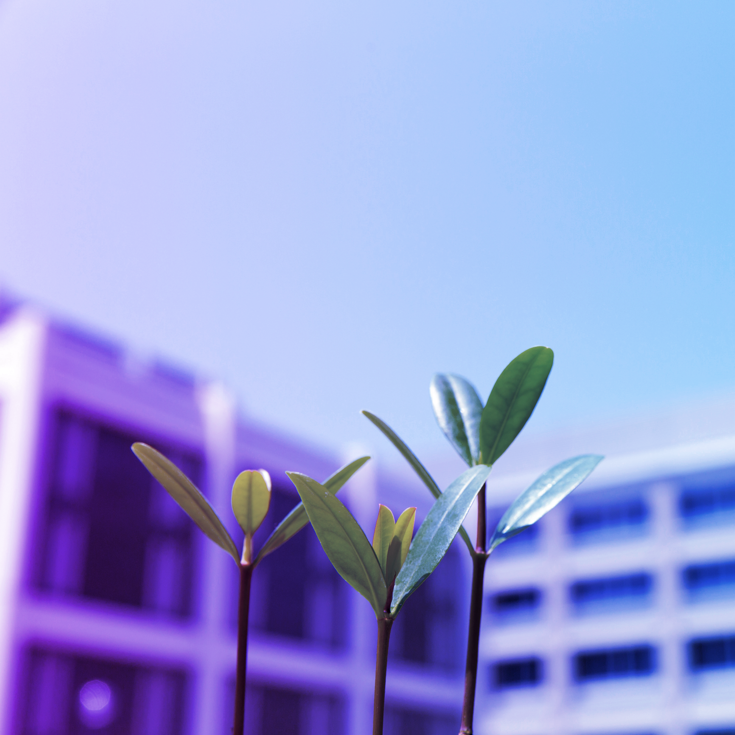 insurance-bulletin-esg-kreislaufwirtschaft-nachhaltige-finanzprodukte-1500x1000