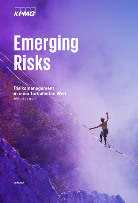 1083604_Zuschnitte_Emerking_Risks450x660-Hubspot-Cover-DE 1083604_Zuschnitte_Emerking_Risks450x660-Hubspot-Cover-DE