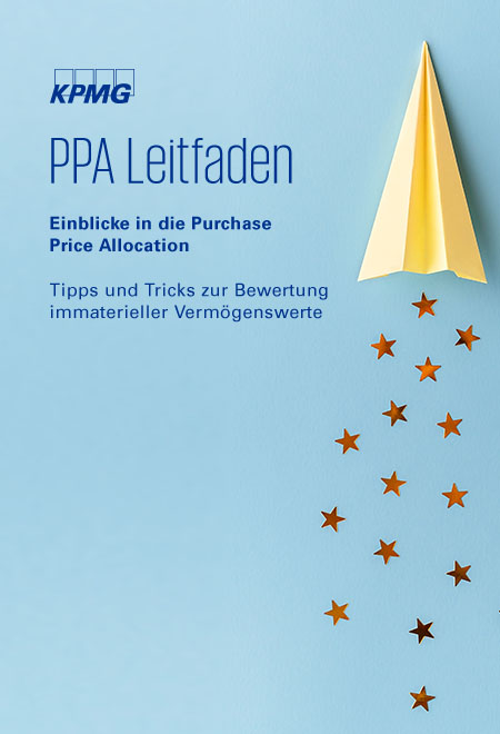 PPA-Leitfaden - Immaterielle Vermögenswerte