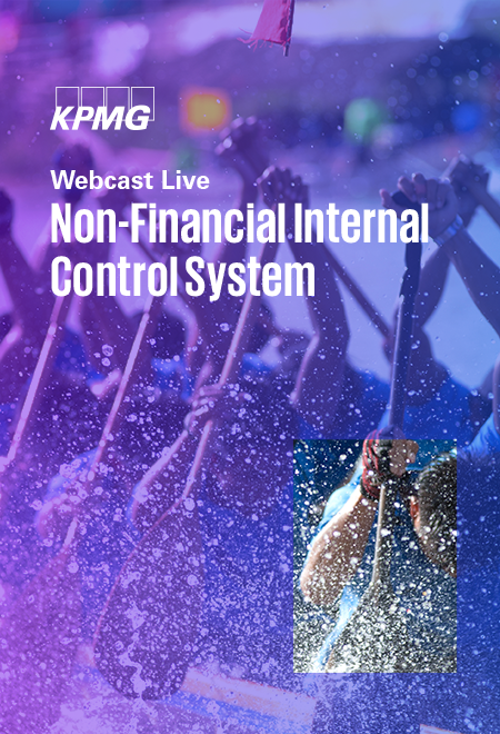 Non-Financial-Internal-Control-System_Webcast-Zuschnitte_450x660